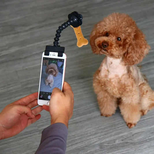 Pet Camera Lens Holder Clip