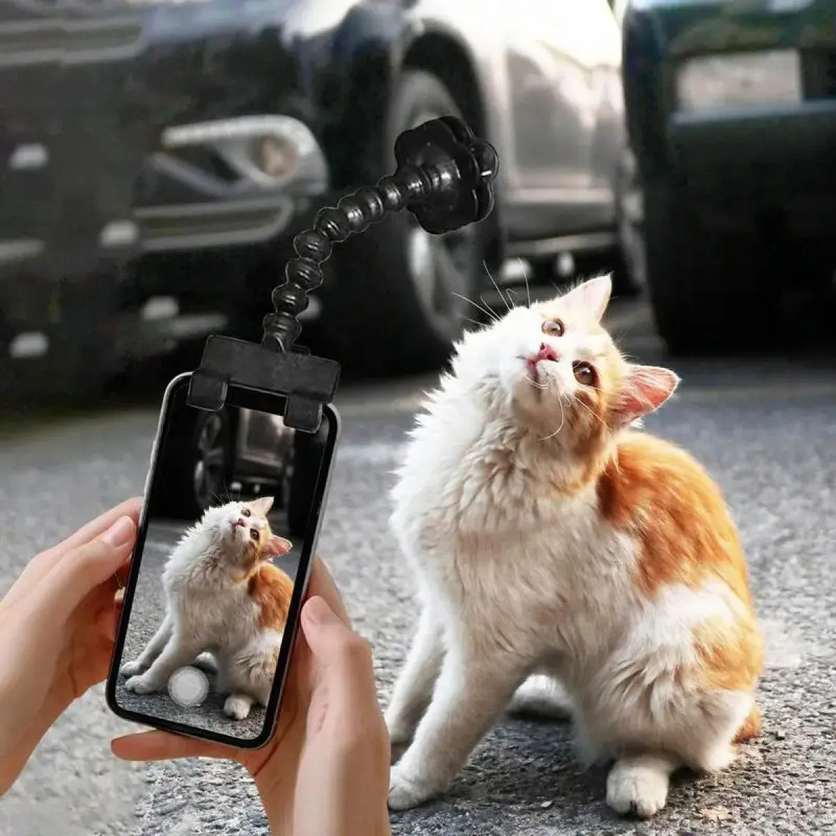 Pet Camera Lens Holder Clip